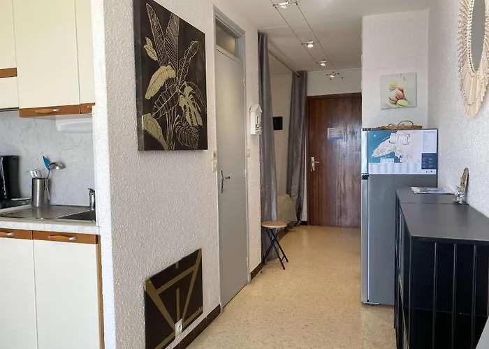 Beau T1 Climatise Avec Cuisine Equipee Et Balcon - - Fr-1-553-265 Lejlighed *
