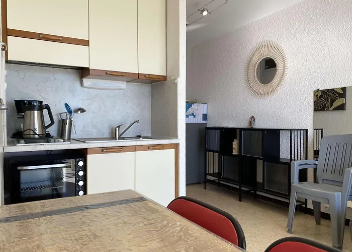 Beau T1 Climatise Avec Cuisine Equipee Et Balcon - - Fr-1-553-265 Lejlighed *
