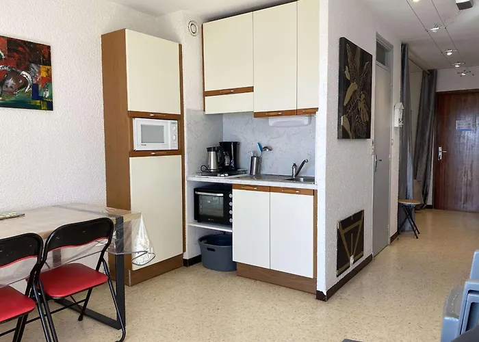 Beau T1 Climatise Avec Cuisine Equipee Et Balcon - - Fr-1-553-265 *